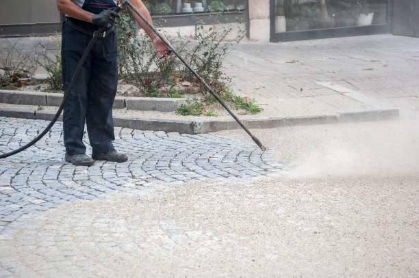 Best Roof Washing  in Erie, PA